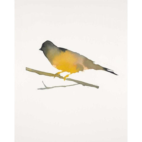 Water Bird 4 Black Modern Wood Framed Art Print with Double Matting by Swartz, Megan