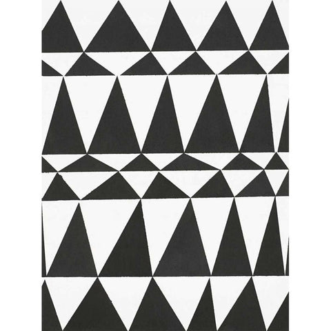 Global Triangle Black Modern Wood Framed Art Print with Double Matting by Swartz, Megan