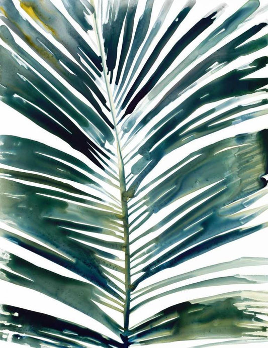 Image Only