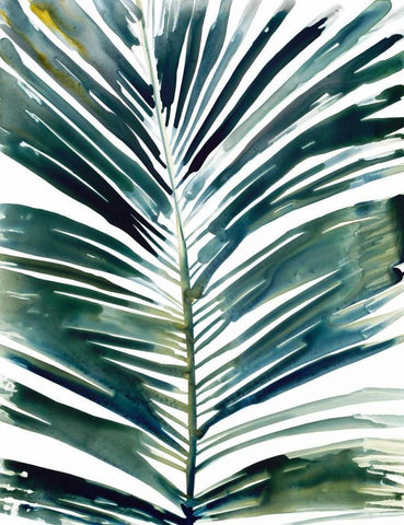 Tropical palm White Modern Wood Framed Art Print with Double Matting by Swartz, Megan