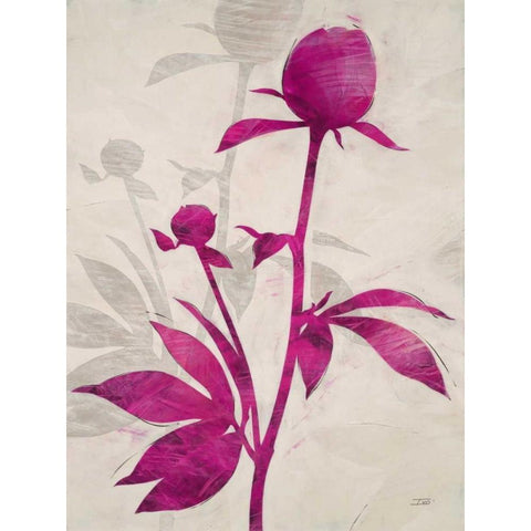 First Peony 1 White Modern Wood Framed Art Print by IVO