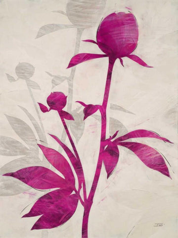 First Peony 1 White Modern Wood Framed Art Print with Double Matting by IVO