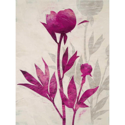 First Peony 2 Black Modern Wood Framed Art Print with Double Matting by IVO