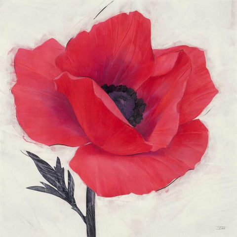 Jubilant Poppy Black Modern Wood Framed Art Print by Stoyanov, Ivo