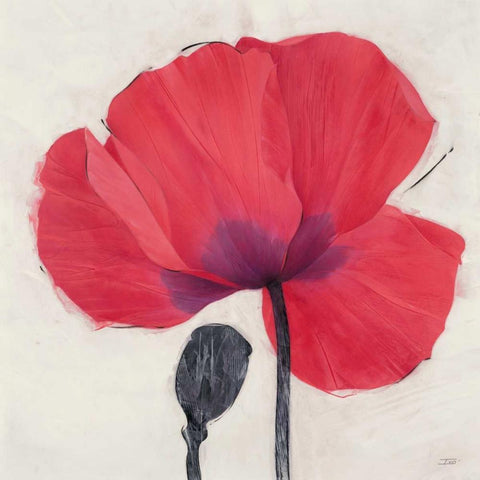 Joyous Poppy White Modern Wood Framed Art Print by Stoyanov, Ivo