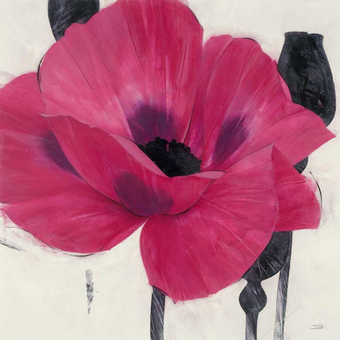 Elated Poppy White Modern Wood Framed Art Print with Double Matting by Stoyanov, Ivo