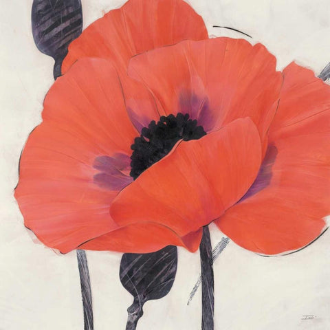 Exuberant Poppy Gold Ornate Wood Framed Art Print with Double Matting by Stoyanov, Ivo