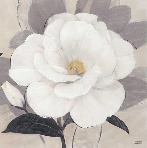 Unfolding Blossoms Detail 2 White Modern Wood Framed Art Print with Double Matting by Stoyanov, Ivo