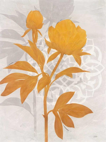 Amber Peony 1 Black Ornate Wood Framed Art Print with Double Matting by Stoyanov, Ivo
