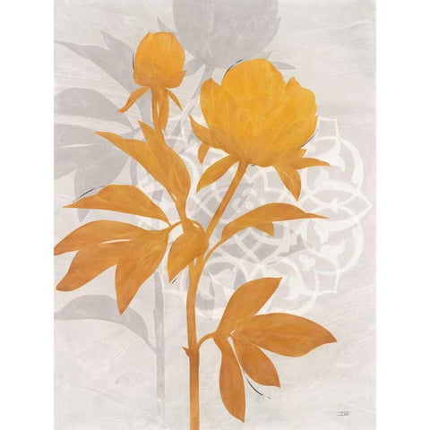 Amber Peony 1 Black Modern Wood Framed Art Print with Double Matting by Stoyanov, Ivo