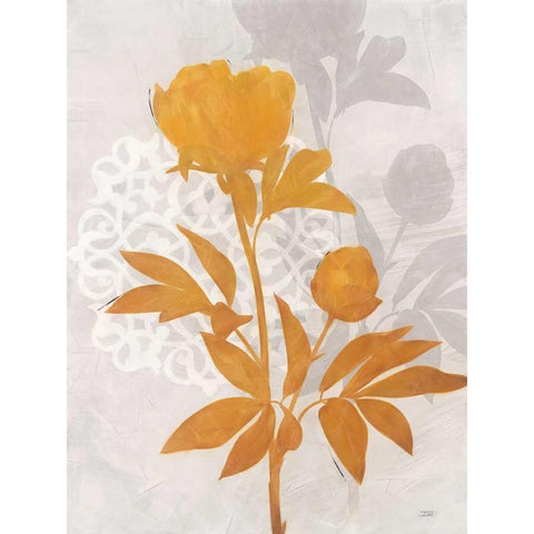 Amber Peony 2 Black Modern Wood Framed Art Print by Stoyanov, Ivo