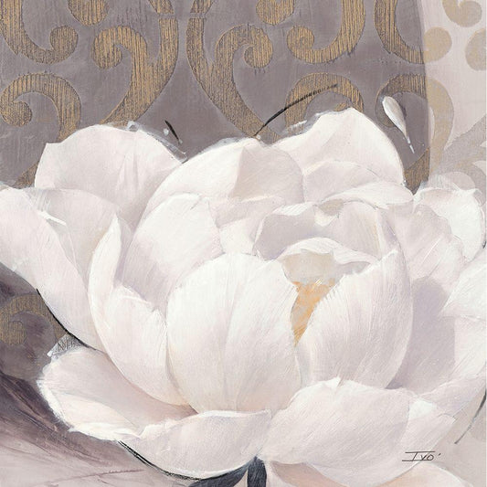 Image Only