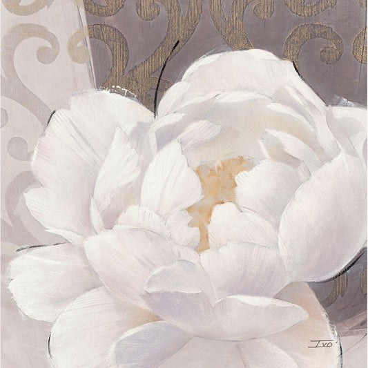 Image Only