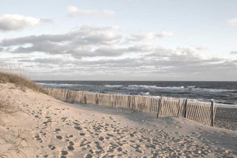 Ocean Clarity White Modern Wood Framed Art Print with Double Matting by Sememza, Marlana