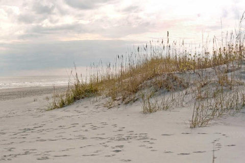 Calm by the Sea White Modern Wood Framed Art Print with Double Matting by Sememza, Marlana