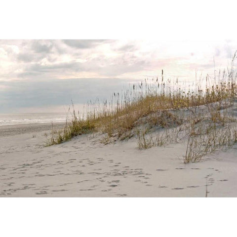 Calm by the Sea White Modern Wood Framed Art Print by Sememza, Marlana