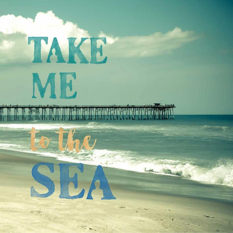 Take Me To The Sea Black Ornate Wood Framed Art Print with Double Matting by Semenza, Marlana