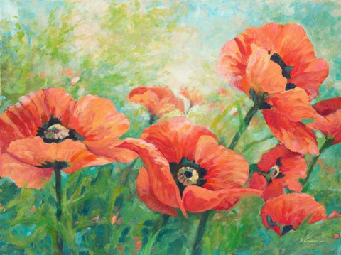 Red Poppies White Modern Wood Framed Art Print with Double Matting by Kroeker, Wendy