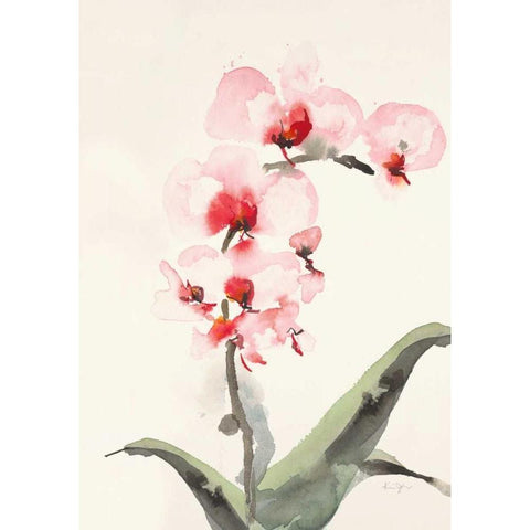 Morning Orchid 2 Black Modern Wood Framed Art Print with Double Matting by Johannesson, Karen
