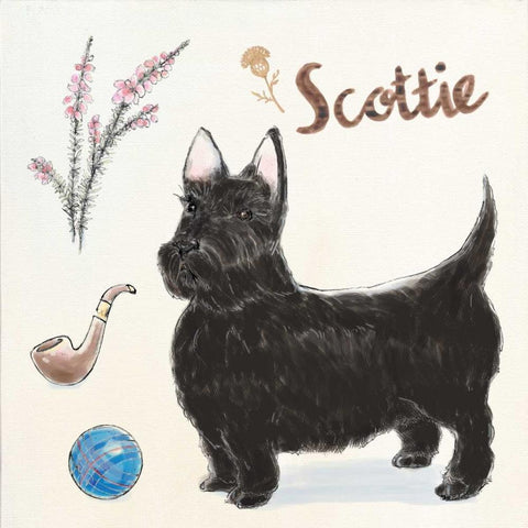 Scottie Dog Escapades Black Modern Wood Framed Art Print with Double Matting by Elliot, Kerri