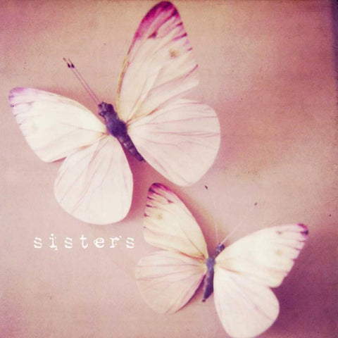 Butterfly Sisters Black Modern Wood Framed Art Print by Susannah Tucker Photography