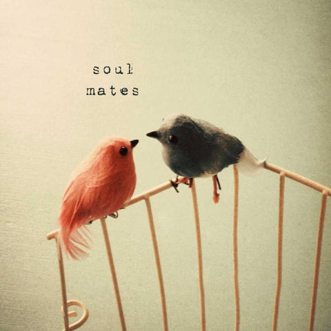 Soulmates Black Ornate Wood Framed Art Print with Double Matting by Susannah Tucker Photography