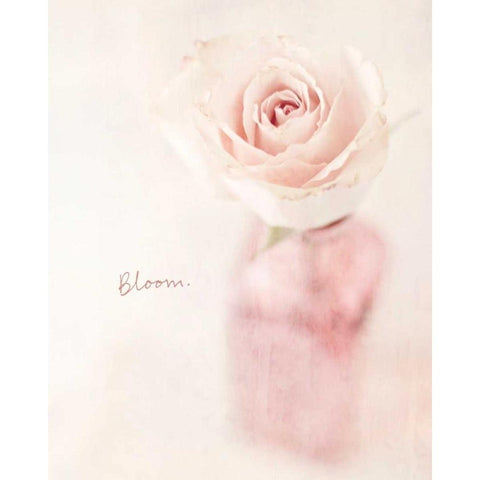 Quiet Floral Setting 2 White Modern Wood Framed Art Print by Susannah Tucker Photography
