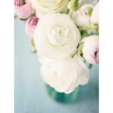 Still Beauty in Pastel 1 Black Modern Wood Framed Art Print by Susannah Tucker Photography