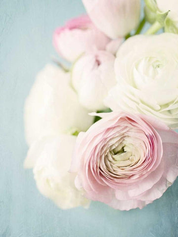 Still Beauty in Pastel 2 White Modern Wood Framed Art Print with Double Matting by Susannah Tucker Photography