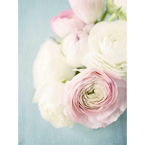 Still Beauty in Pastel 2 Black Modern Wood Framed Art Print by Susannah Tucker Photography