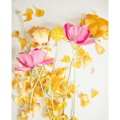 Happy Daydream 5 Black Modern Wood Framed Art Print with Double Matting by Susannah Tucker Photography