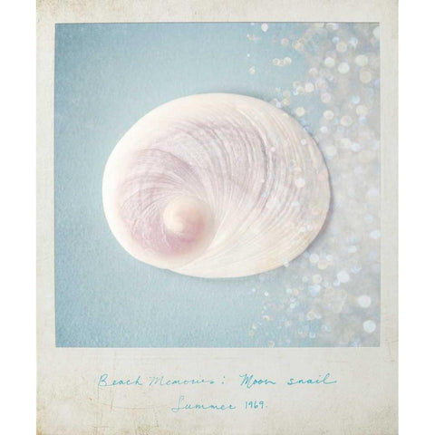 Beach Memories Moon Snail Gold Ornate Wood Framed Art Print with Double Matting by Susannah Tucker Photography