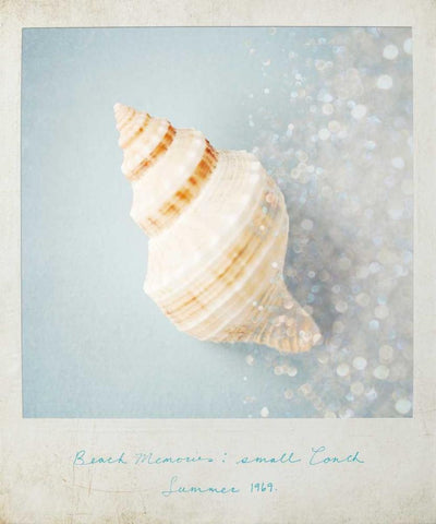 Beach Memories Small Conch White Modern Wood Framed Art Print with Double Matting by Susannah Tucker Photography