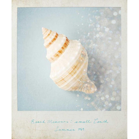 Beach Memories Small Conch Black Modern Wood Framed Art Print by Susannah Tucker Photography