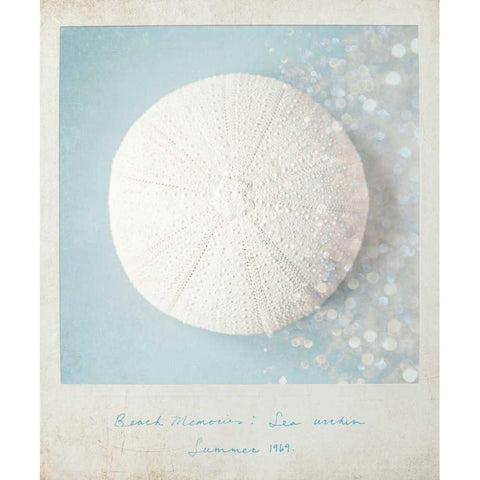 Beach Memories Sea Urchin Black Modern Wood Framed Art Print by Susannah Tucker Photography