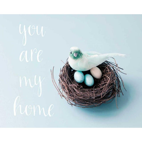 You Are My Home Love Birds White Modern Wood Framed Art Print by Susannah Tucker Photography