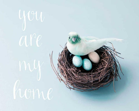 You Are My Home Love Birds White Modern Wood Framed Art Print with Double Matting by Susannah Tucker Photography