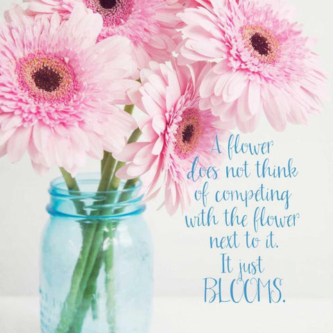 It Just Blooms White Modern Wood Framed Art Print with Double Matting by Susannah Tucker Photography