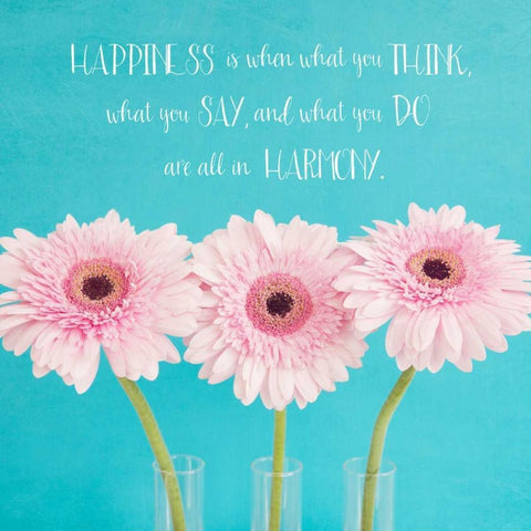 Happiness Is White Modern Wood Framed Art Print with Double Matting by Susannah Tucker Photography