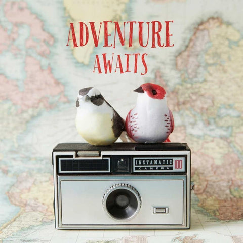Adventure Awaits Black Modern Wood Framed Art Print by Susannah Tucker Photography