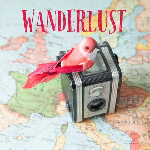 Wanderlust Black Modern Wood Framed Art Print by Susannah Tucker Photography