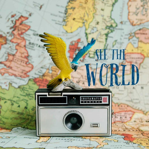 See The World Black Modern Wood Framed Art Print with Double Matting by Susannah Tucker Photography
