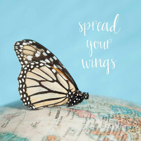 Spread Your Wings White Modern Wood Framed Art Print by Susannah Tucker Photography