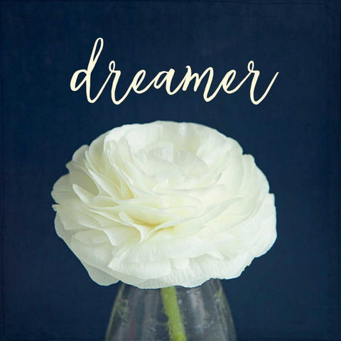 Dreamer White Modern Wood Framed Art Print by Susannah Tucker Photography