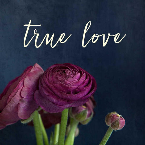True Love Black Modern Wood Framed Art Print by Susannah Tucker Photography