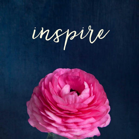 Inspire Black Ornate Wood Framed Art Print with Double Matting by Susannah Tucker Photography