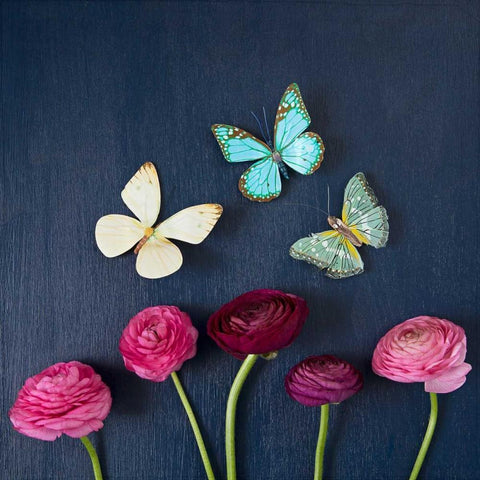 Enchanted Butterflies Black Modern Wood Framed Art Print by Susannah Tucker Photography