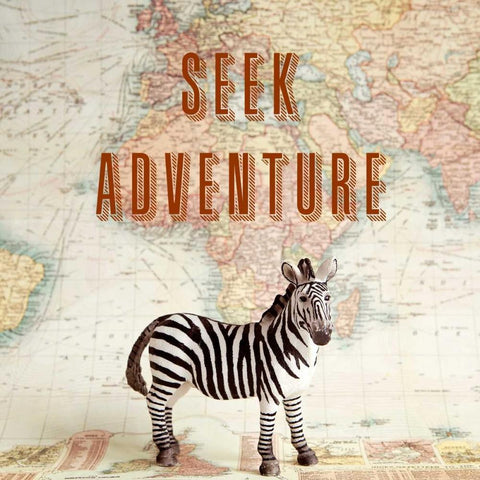 Seek Adventure Black Modern Wood Framed Art Print by Susannah Tucker Photography
