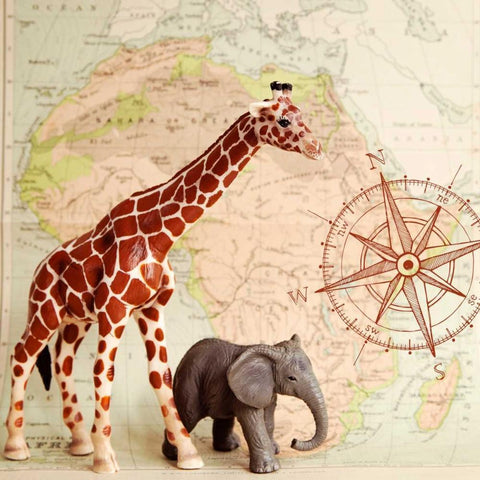 Safari Pals Black Modern Wood Framed Art Print by Susannah Tucker Photography