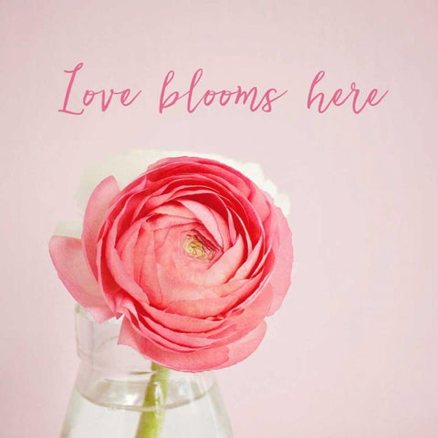Love Blooms Here Black Ornate Wood Framed Art Print with Double Matting by Susannah Tucker Photography